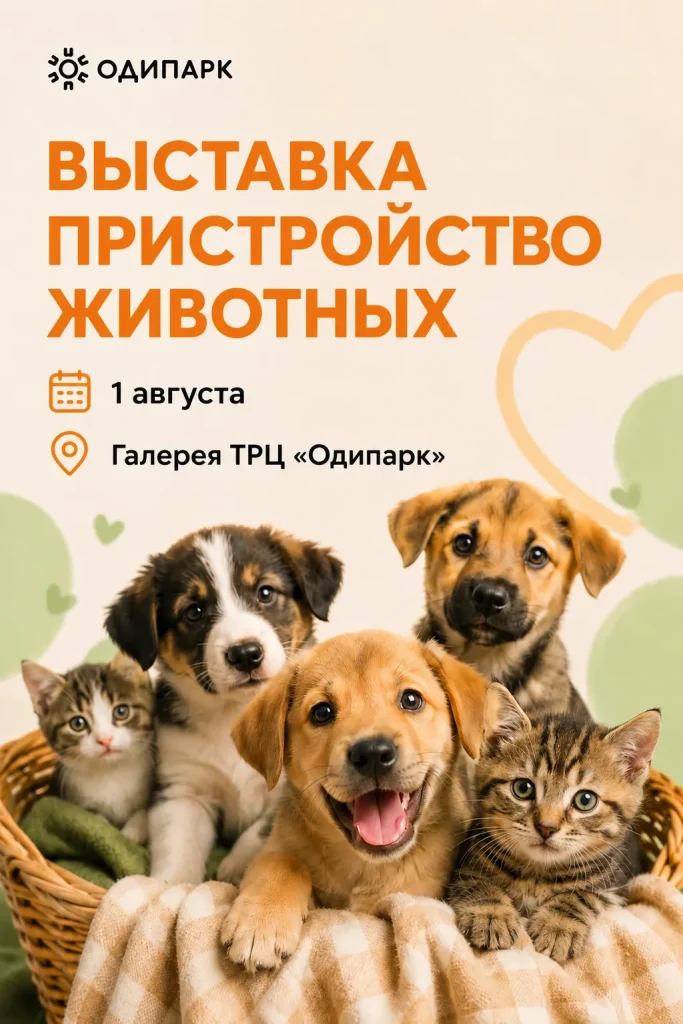 Фестиваль «Уютный дом»